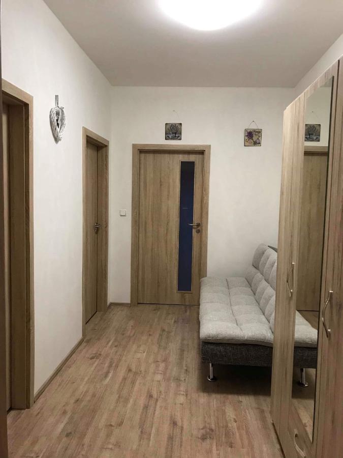 Apartmán Monny Frymburk Exteriér fotografie